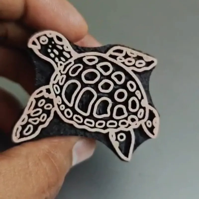 Sea Life / Aquatic